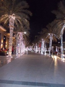 10_UAE_Burj-Kalifa_Palmen
