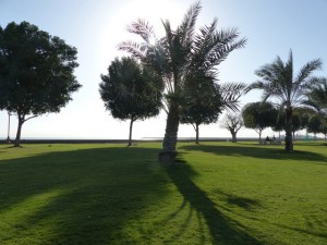 26-UAE_Fuj_Park_Bildgröße ändern