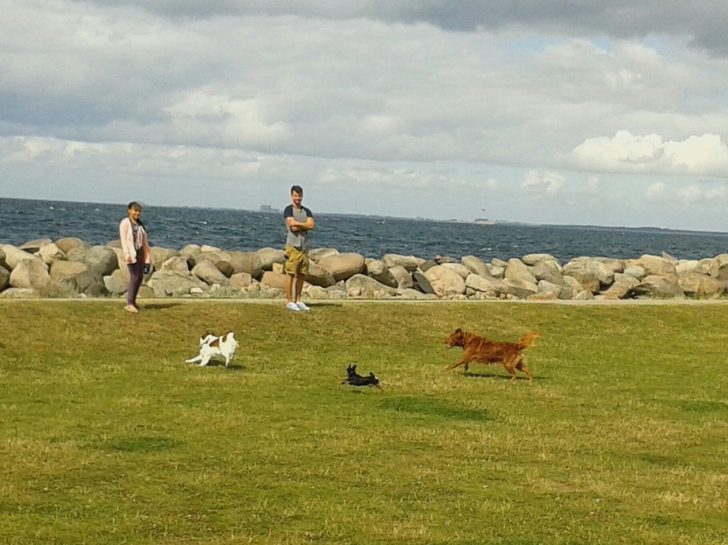 2.2_DK_Malmö_N-spiel-Strand