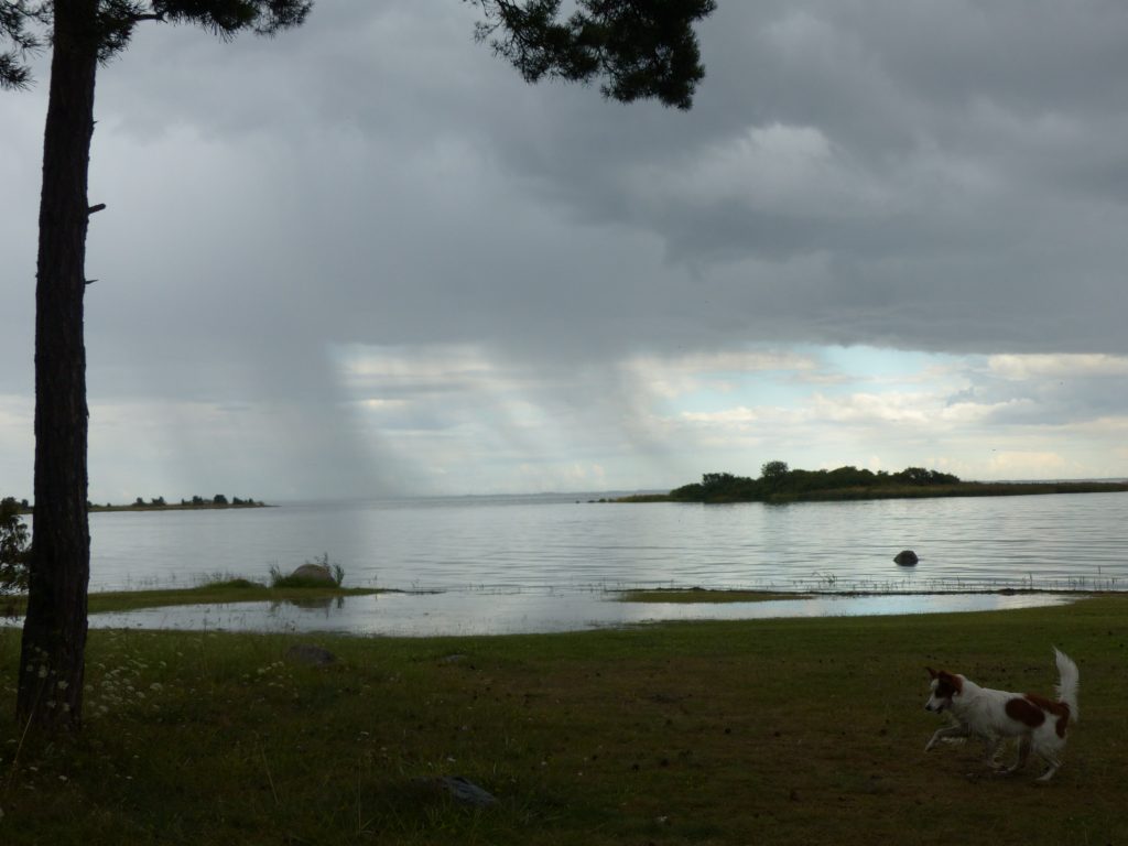 3.17_S_Möseras_Schär_Regen_N