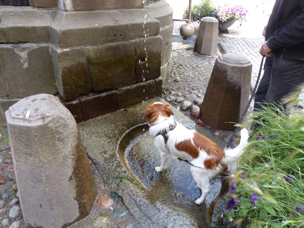 4.7_S_Stockh_Markt_N_Brunnen