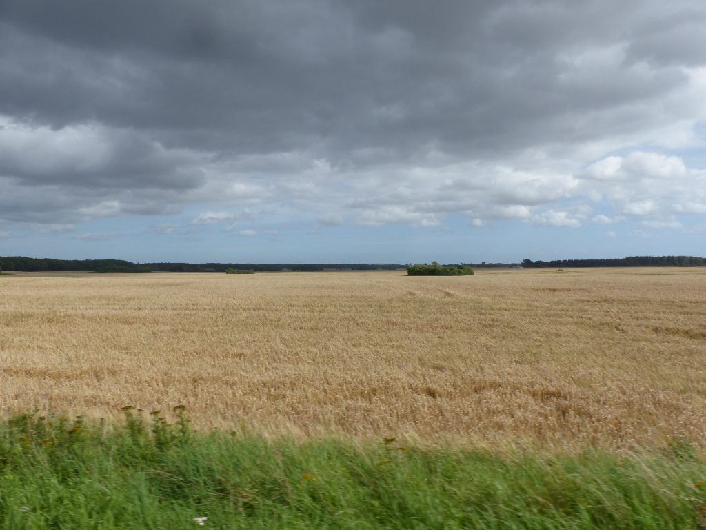 6_DK_hi-Fehm_Getreide-Wolkenen