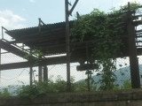 37_AM_18-7-12_Alav.-1