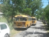 29b_AM_18-7-04_toY_Sev-Bus