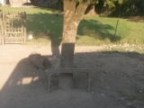 8g1_GE_18-6-28_toSugdidi_Schw.suhle