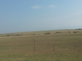 4_GE_18-7-14_toRustavei_Weite.kahl