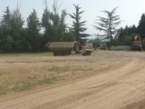 5_GE_18-7-14_Baumasch.