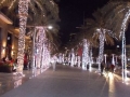 10_UAE_Burj-Kalifa_Palmen