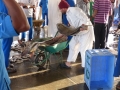 13-UAE_Sharj_Hafen_Fisch schwer_Bildgröße ändern