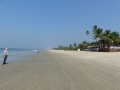 22-IN_Goa_C-Roque_Alex