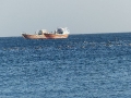 31_OM_Khas_Beach_Lenj-Vögel