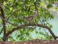 34-IN_Goa_Waterfall_Mak_1a
