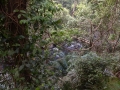 36-IN_Goa_Waterfall_Urwalld