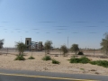 5_UAE_to Al-Ain_k-Rennbahn