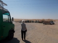 5e-UAE_to-Al-Ain_kamele-ich1