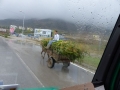Transportunternehmen in Albanien
