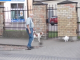 12a_LV_18-8-27_Ventspils_N-Katze