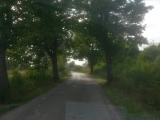 7_PL_18-9-07_Allee