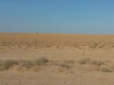 38_RUS_18-7-20_toAstr._Sand