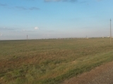 23_RUS_18-7-21_toElis_Grassteppe