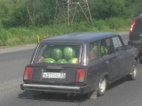42_RUS_18-7-27_Melon.überl.