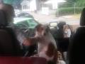 1a_CZ_18-6-12_N-Sitz