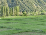 14-TR_18-6-22_Ist-Tosya_Land
