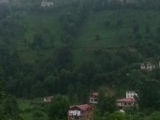 25_TR_18-6-26_von-Ayder_Teeplantagen