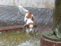 12_H_18-6-14_Budap_N-Brunnen
