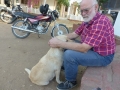 2-dogs_alex-jpg