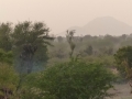 4-jobafort_2-jpg